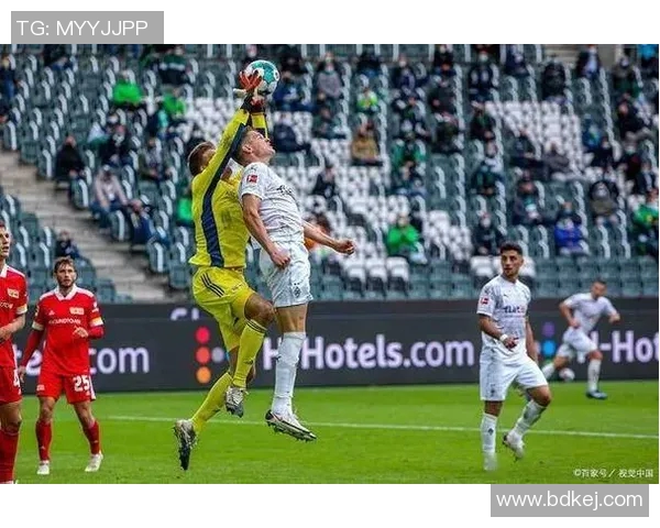 惠灵顿凤凰对阵悉尼FC赛事分析及战术解析全面解读