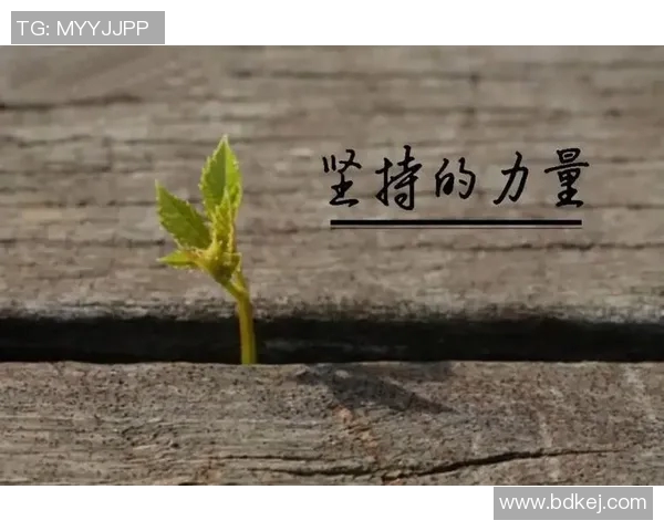 焦泊乔：在风云变幻的时代中追寻梦想与坚持的力量